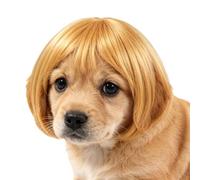 Cat Wig Funny Adjustable Human-Style Bangs Pet Funny Human-Like Sty Costume