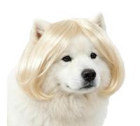 Cat Wig Funny Adjustable Human-Style Bangs Pet Funny Human-Like Sty Costume