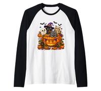 Cat Witch Mummy Ghost Kitten Pumpkin Halloween Spooky Season Camiseta Manga Raglan