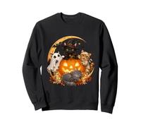 Cat Witch Mummy Ghost Kitten Pumpkin Halloween Spooky Season Sudadera