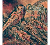 Catacomb - Embrace Decay