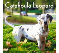 Catahoula Leopard Dog Calendar 2027: Dog Portraits and Breed Scenes