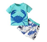 Categoría de producto Boys Trajes & Set - Conjunto de ropa para bebé niño pequeño trajes dibujos animados animal camiseta tops y pantalones cortos - Título del producto, azul, 18-24 meses