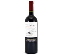 Catena Zapata Catena Cabernet Sauvignon 2022 1 x 750 ml