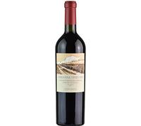 Catena Zapata Adrianna Vineyard Mundus Bacillus Terrae 2016 1 x 750 ml