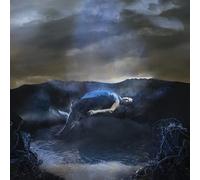 CATERINA BARBIERI - SPIRIT EXIT (SILVER VINYL) [Vinilo]