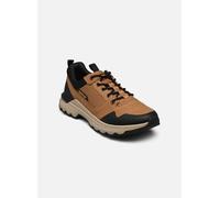 Zapatillas Caterpillar Colorado Sne Lo 42