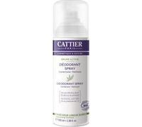 Catéter Desodorante Spray Bruma Activa 100 ml