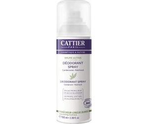 Catéter Desodorante Spray Bruma Activa 100 ml
