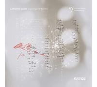 Catherine Lamb : Aggregate Forms. JACK Quartet.