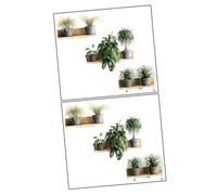 CATIEBYE Pegatinas de Pared Diseño de Plantas y Estantes Falsos 3d, Autoadhesivas, Tamaño 70x25,5 Cm, 2 Piezas para Decoración de Salón, Dormitorio y Oficina, Mural Despegable y Pegable