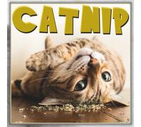Catnip Chaos Calendar 2026: Funny Cats, Wild Reactions, and Hilarious Catnip Moments All Year Long