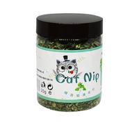 Catnip Plant, Fresh Organic Catnip, Interactive Calming Herb, Natural Pet Entertainment Attractant Live Potted Plant, Perfect for Indoor Cats, Kitten Playtime, Relaxation, 6.5x8.5cm 20g Transparent