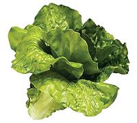 Catral 72020008 Lechuga, Verde, 15 x 12 x 15 cm