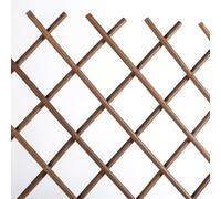 Catral Celosia Extensible Trellibambu Bambú Decorativa Exterior 0,5X1,5M | Producto Nortene Para Jardín, Terraza Y Exterior, Resistente Y Duradero Para Uso Exterior Continuado, Fácil Instalación