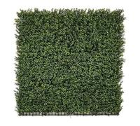 CATRAL NORTENE | Jardín Vertical BOJ 100 X 100 CM NORTENE | Protección UV | Ideal para Exterior e Interior | Diseño Moderno