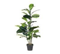 Catral Nortene | Planta Artificial Ficus Lyrata 120cm Nortene | Plantas Artificiales Realistas | Planta Artificial para Hogar Y Oficina Decoración Interior Y Exterior