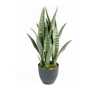 Catral | Planta Artificial Sansevieria 70 Cm | Plantas Artificiales Decorativas | Planta Artificial Realista | Planta Artificial Grande | Planta Tropical | Ideal para Decoración De Hogar Y Oficina