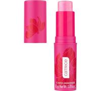 Catrice Cosmetics Revitalizador de mejillas SPRING AWAKENING, adaptación al color, brillante, rociado, reluciente (8.2 g)