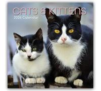 Cats and Kittens - Katzen und Kätzchen 2026 - 16-Monatskalender: Original Gifted Stationery-Kalender [Mehrsprachig] [Kalender]