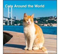 Cats Around the World 2023 - Wand-Kalender - 30x30 - 30x60 geöffnet