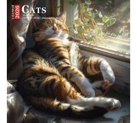 Cats Calendar 2026: Furry Friends in Every Pose From Silly to Serene