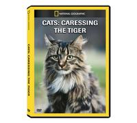 National Geographic: Cats - Caressing the Tiger [USA] [DVD]
