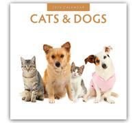 Cats & Dogs 2026 Square Wall Calendar