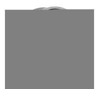 Cats Exercise Wheel, Quiet Workout Equipment Kitten, 31.5x13.15x33.85 inches Adorable Large Cat Wheel Exerciser for Indoors, Secure Kitten Treadmill