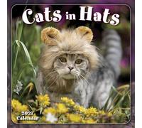 Cats in Hats