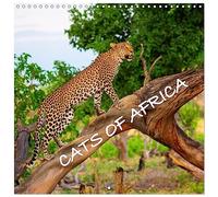 CATS OF AFRICA (Wall Calendar 2026 12" x 24" / 30 x 60 cm (open)) CALVENDO 12 Month Wall Calendar