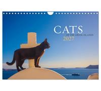 Cats of the Greek Islands (Wall Calendar 2027 DIN A4 landscape), CALVENDO 12 Month Wall Calendar: 12 uniquely beautiful cat portraits that will get you in the holiday mood all year round