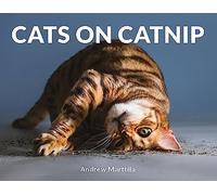 Cats on Catnip