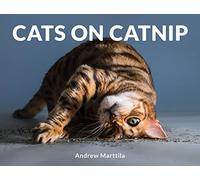 Cats on Catnip