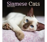Cats - Siamese Calendar 2025 Square Cat Wall Calendar - 16 Month