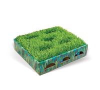 Catstages Caja de Caza Grass Patch Menta Pequeña