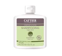 CATTIER Champú Arcilla Verde 250 ml