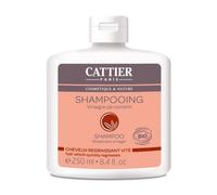 Cattier Champú Cabellos grasos Vinagre Romero 250 ml