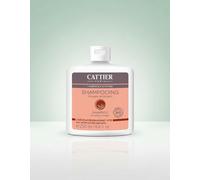 Cattier Champu para Cabellos Grasos con Vinagre de Romero 250ml