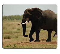 Caucho Natural para Juegos Mousepad Elefante Africano Parque Nacional Kruger de Sudáfrica (Mouse Pad/Gaming Mouse Pad)