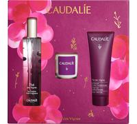 THÉ DES VIGNES ESTUCHE 3 pz