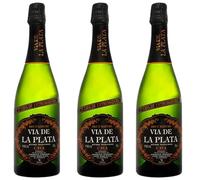 Cava Brut Nature - Mejor Cava de España 2023 sin Adición de Azúcar- Ideal Combinarlo con Aperitivo o Cualquier Celebración - Pack 3 Botellas