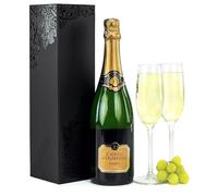 Cava Español - Regalo de San Valentín - Champán exclusivo - Ideal para amantes del vino - Detalle especial para ella o él - Sorpresa elegante para ocasiones románticas