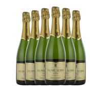Cava Jaume Serra Brut 75 cl caja de 6 botellas