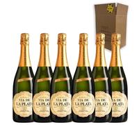 Cava Vía de la Plata Semiseco - Para Disfrutar en Celebraciones y con los Tuyos - Pack 6 Botellas 75cl