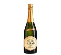Cava Via Plata Semiseco - Mejor Cava 2023 - Vino Espumoso de Bodegas Españolas - 750ml - Notas Frutales y Refrescantes - Ideal para Celebraciones y Maridajes - 1 Botella 75cl