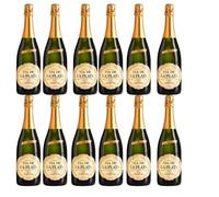 Cava Via Plata Semiseco - Mejor Cava 2023- Vino Espumoso de Bodegas Españolas - 750ml - Notas Frutales y Refrescantes - Ideal para Celebraciones y Maridajes - Pack 12 Botellas