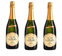 Cava Via Plata Semiseco -Mejor Cava 2023- Vino Espumoso de Bodegas Españolas - Notas Frutales y Refrescantes - Ideal para Celebraciones y Maridajes - Pack 3 Botellas