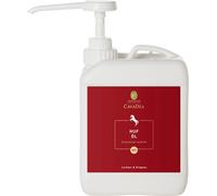 Cavadea Aceite para Cascos Bio - 2,50 l Cavadea