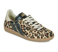 Caval Zapatillas altas LEO OBSESSION in Multicolor 37